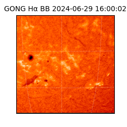 gong - 2024-06-29T16:00:02