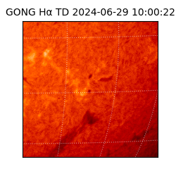 gong - 2024-06-29T10:00:22