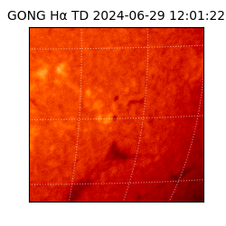 gong - 2024-06-29T12:01:22