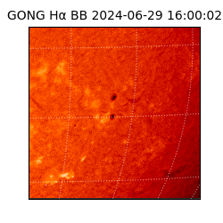 gong - 2024-06-29T16:00:02