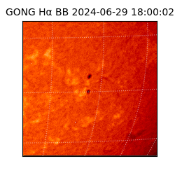 gong - 2024-06-29T18:00:02