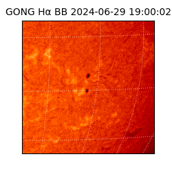 gong - 2024-06-29T19:00:02