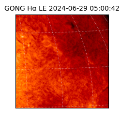 gong - 2024-06-29T05:00:42