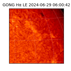 gong - 2024-06-29T06:00:42