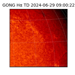 gong - 2024-06-29T09:00:22