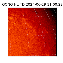 gong - 2024-06-29T11:00:22