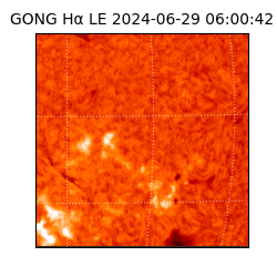 gong - 2024-06-29T06:00:42