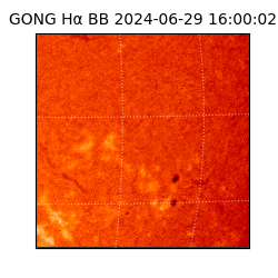 gong - 2024-06-29T16:00:02