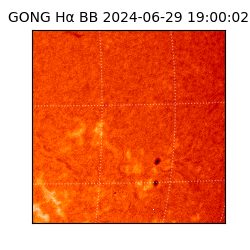 gong - 2024-06-29T19:00:02