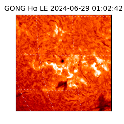 gong - 2024-06-29T01:02:42