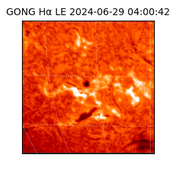 gong - 2024-06-29T04:00:42