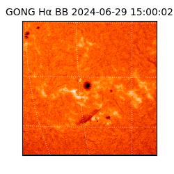 gong - 2024-06-29T15:00:02