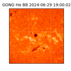 gong - 2024-06-29T19:00:02