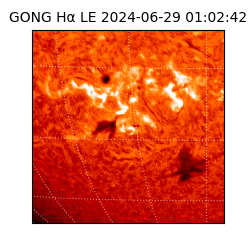 gong - 2024-06-29T01:02:42