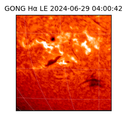 gong - 2024-06-29T04:00:42
