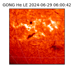 gong - 2024-06-29T06:00:42