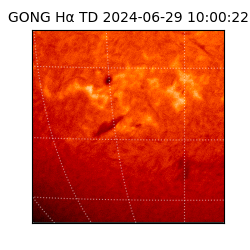 gong - 2024-06-29T10:00:22