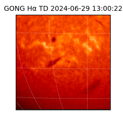 gong - 2024-06-29T13:00:22