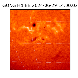 gong - 2024-06-29T14:00:02