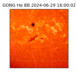 gong - 2024-06-29T16:00:02