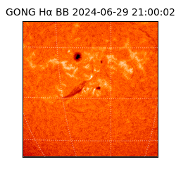 gong - 2024-06-29T21:00:02