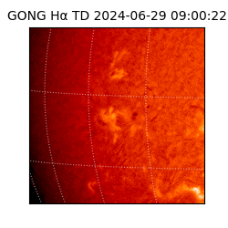 gong - 2024-06-29T09:00:22