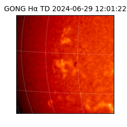 gong - 2024-06-29T12:01:22