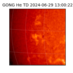 gong - 2024-06-29T13:00:22