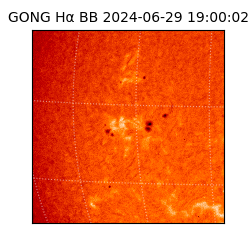 gong - 2024-06-29T19:00:02