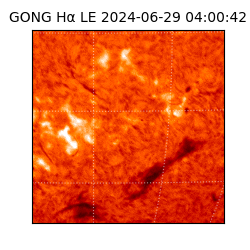 gong - 2024-06-29T04:00:42