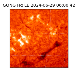 gong - 2024-06-29T06:00:42