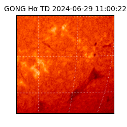 gong - 2024-06-29T11:00:22