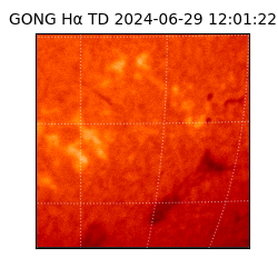 gong - 2024-06-29T12:01:22