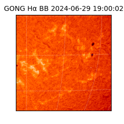 gong - 2024-06-29T19:00:02