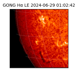 gong - 2024-06-29T01:02:42