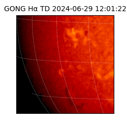 gong - 2024-06-29T12:01:22