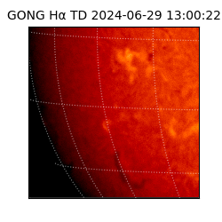 gong - 2024-06-29T13:00:22