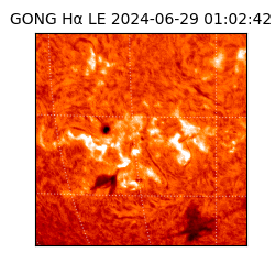 gong - 2024-06-29T01:02:42