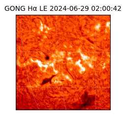 gong - 2024-06-29T02:00:42