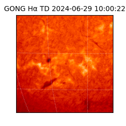 gong - 2024-06-29T10:00:22