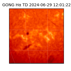 gong - 2024-06-29T12:01:22