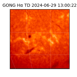 gong - 2024-06-29T13:00:22