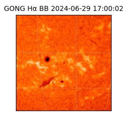 gong - 2024-06-29T17:00:02