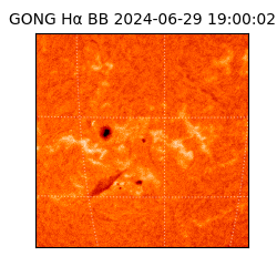 gong - 2024-06-29T19:00:02