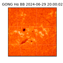 gong - 2024-06-29T20:00:02