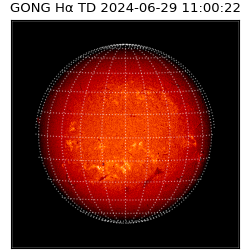gong - 2024-06-29T11:00:22