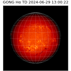 gong - 2024-06-29T13:00:22