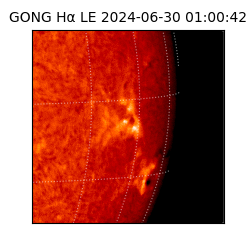 gong - 2024-06-30T01:00:42