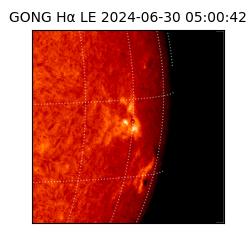 gong - 2024-06-30T05:00:42