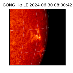 gong - 2024-06-30T08:00:42